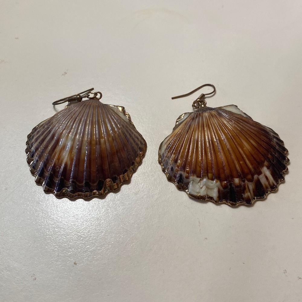 Scallop Shell Earrings